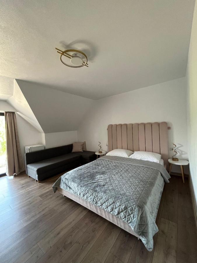 Casa Boila Otel Bîrsana Dış mekan fotoğraf