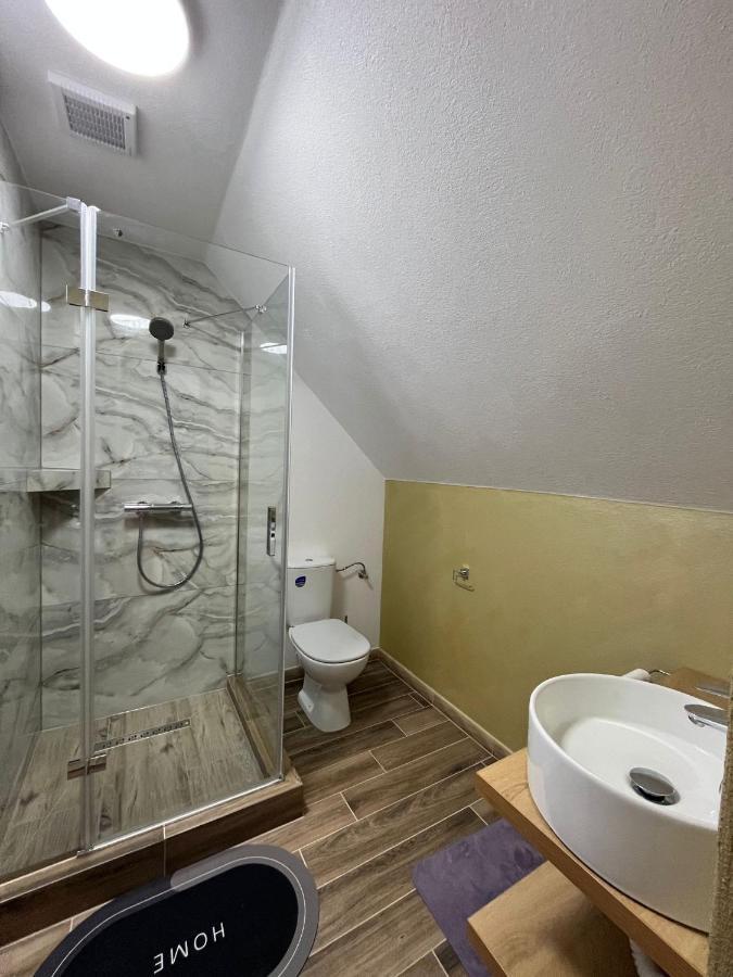 Casa Boila Otel Bîrsana Dış mekan fotoğraf