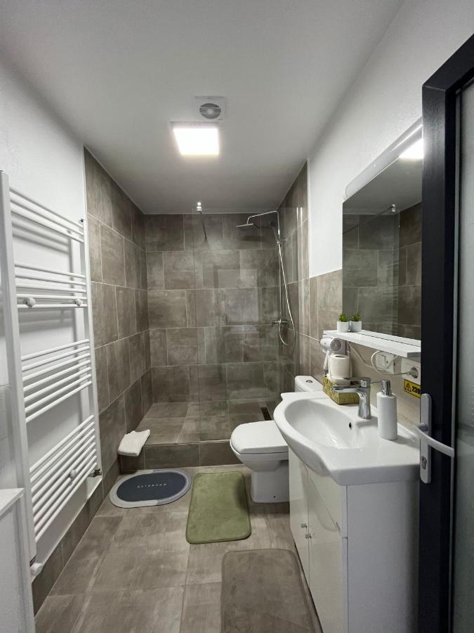 Casa Boila Otel Bîrsana Dış mekan fotoğraf