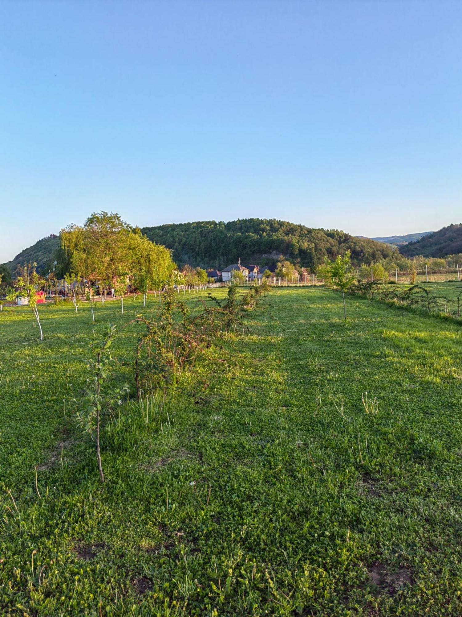 Casa Boila Otel Bîrsana Dış mekan fotoğraf